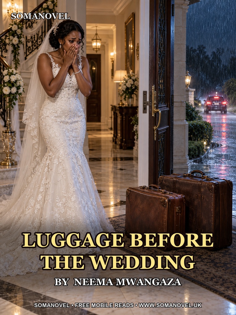 Cover of Luggage Before the Wedding