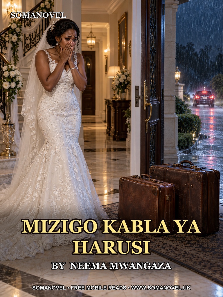 Cover of Mizigo Kabla Ya Harusi